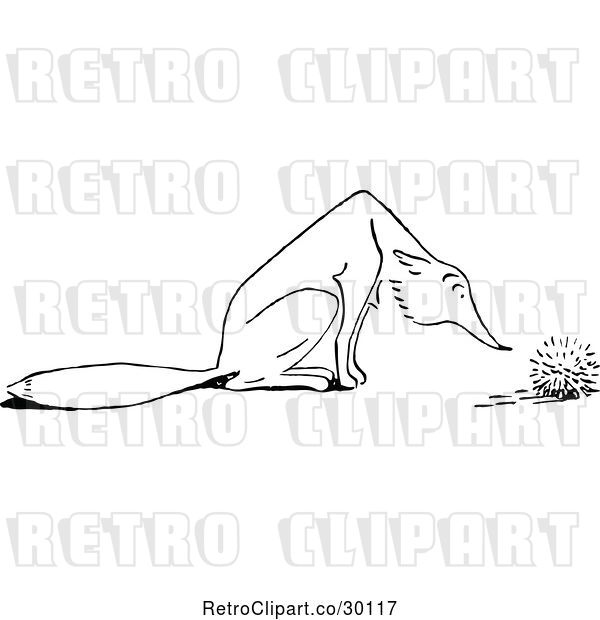 Vector Clip Art of Retro Fox Sniffing a Hedgehog