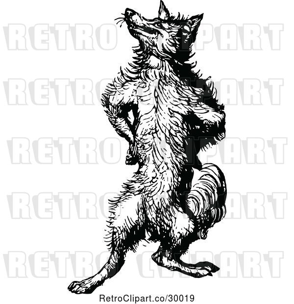 Vector Clip Art of Retro Fox Standing Upright and Posing