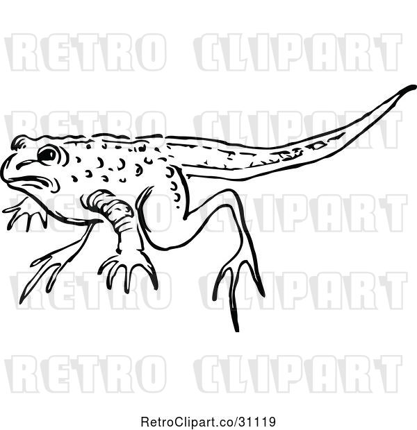 Vector Clip Art of Retro Frog with a Tail
