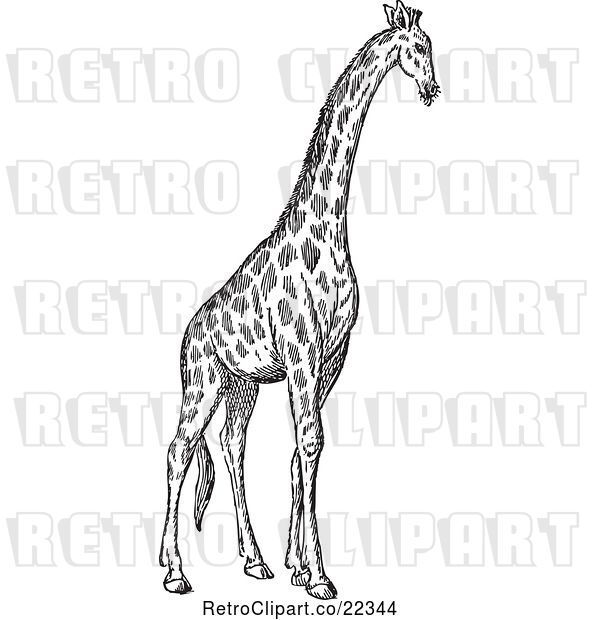 Vector Clip Art of Retro Giraffe