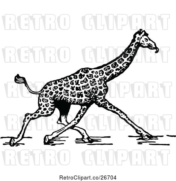 Vector Clip Art of Retro Giraffe Walking