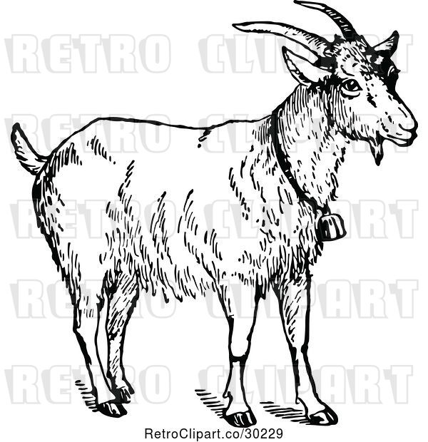 Vector Clip Art of Retro Goat Wearing a Bell