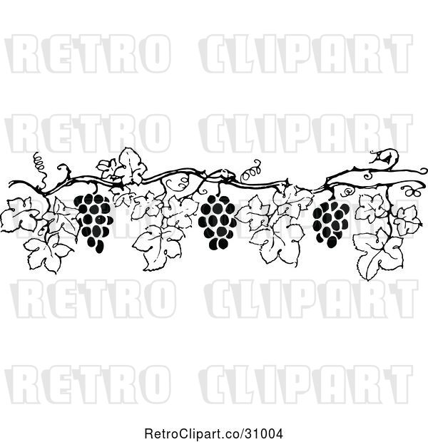 Vector Clip Art of Retro Grape Vine Border 6
