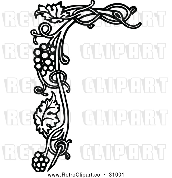 Vector Clip Art of Retro Grape Vine Floral Page Border