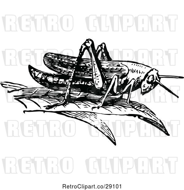 Vector Clip Art of Retro Grasshopper