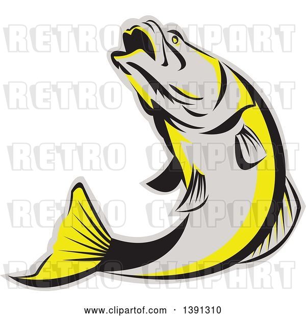 Vector Clip Art of Retro Gray Black and Yellow Barramundi Asian Sea Bass Fish Jumping