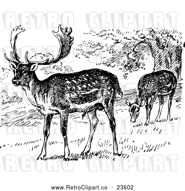 Vector Clip Art of Retro Grazing Fallow Deer