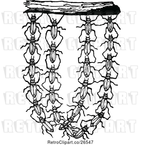 Vector Clip Art of Retro Group of Bugs Hanging