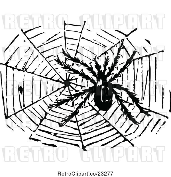 Vector Clip Art of Retro Hairy Spider and Web