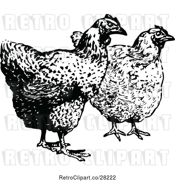 Vector Clip Art of Retro Hens
