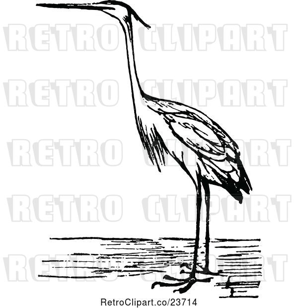 Vector Clip Art of Retro Heron Bird