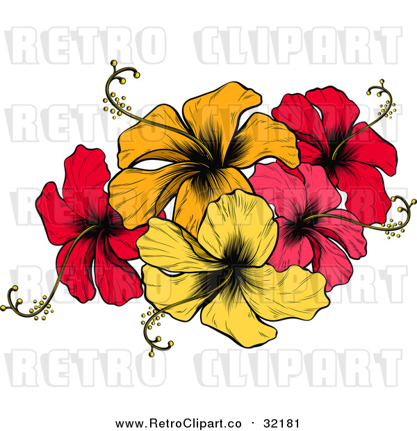 Vector Clip Art of Retro Hibiscus Flowers