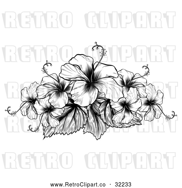 Vector Clip Art of Retro Hibiscus Flowers