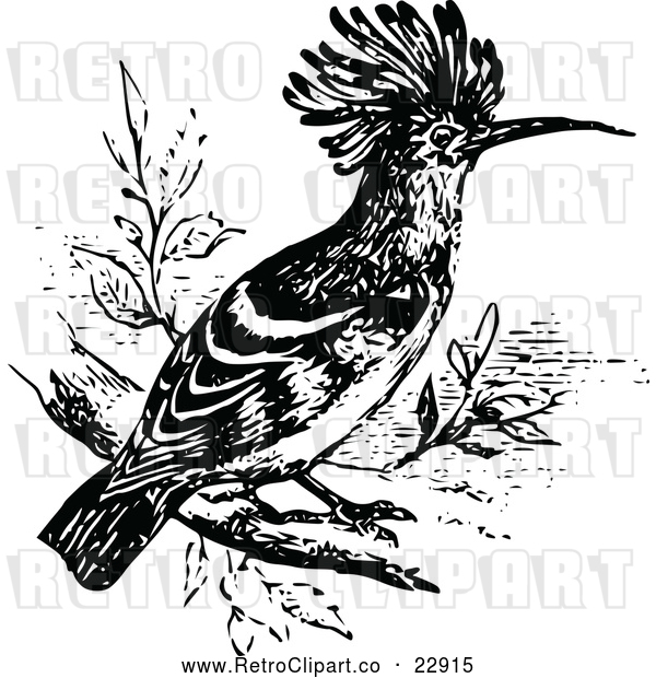 Vector Clip Art of Retro Hoopoe Bird