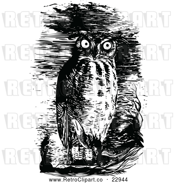 Vector Clip Art of Retro Horned Owl in the Night