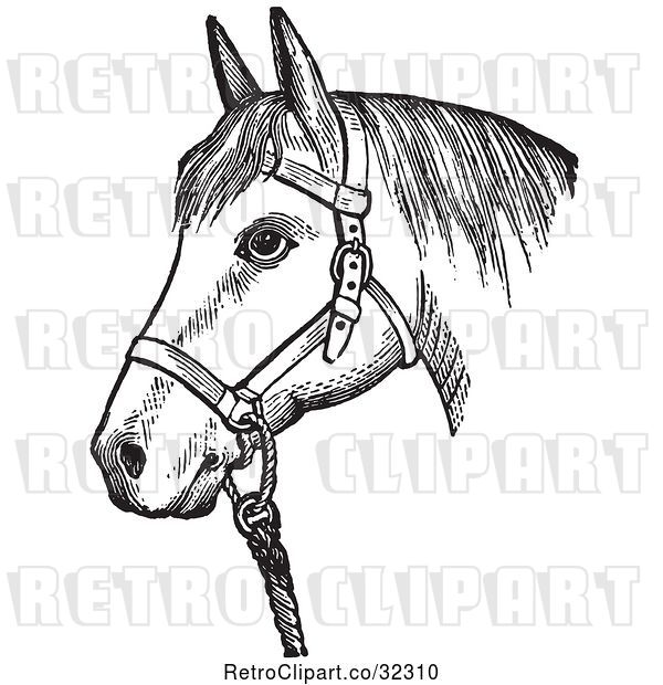 Vector Clip Art of Retro Horse with Good Form for a Halter of in