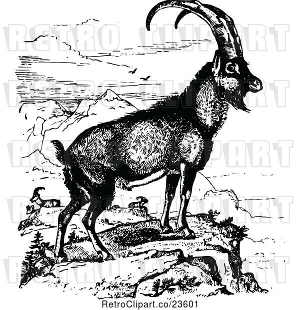 Vector Clip Art of Retro Ibex Wild Goat