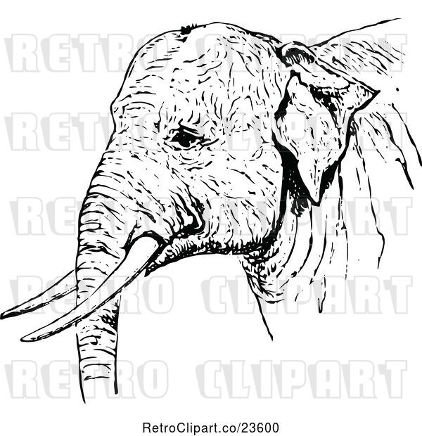 Vector Clip Art of Retro Indian Elephant