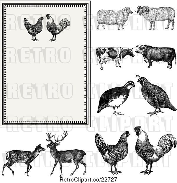 Vector Clip Art of Retro Invitation with a Rooster Pair on Beige and Other Animals