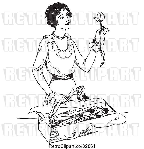 Vector Clip Art of Retro Lady Opening a Box of Tulips