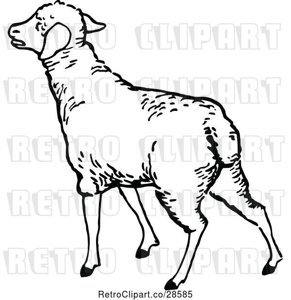 Vector Clip Art of Retro Lamb
