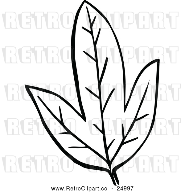 Vector Clip Art of Retro Leaf