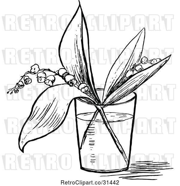 Vector Clip Art of Retro Lily of the Valley Stems in a Cup of Water