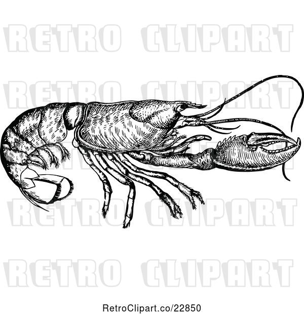 Vector Clip Art of Retro Lobster