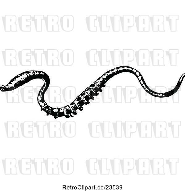 Vector Clip Art of Retro Lugworm
