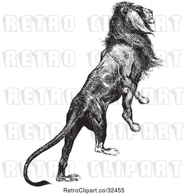 Vector Clip Art of Retro Majestic Lion