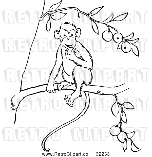 Vector Clip Art of Retro Monkey Eating Fruit in a Tree Line Drawing