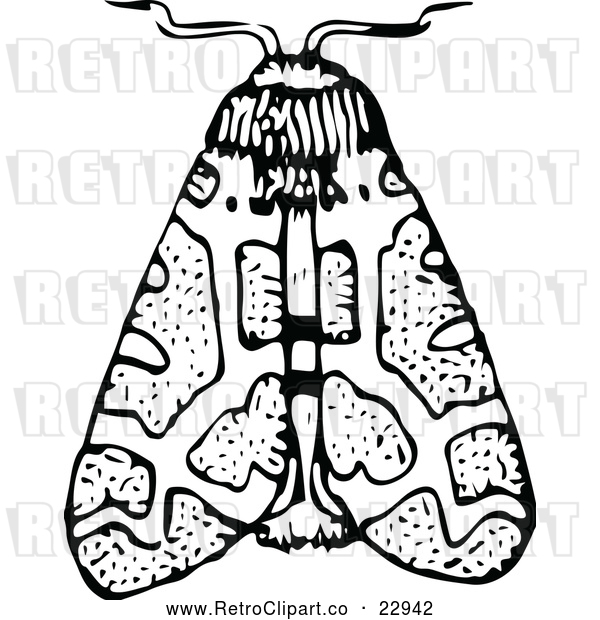 Vector Clip Art of Retro Moth