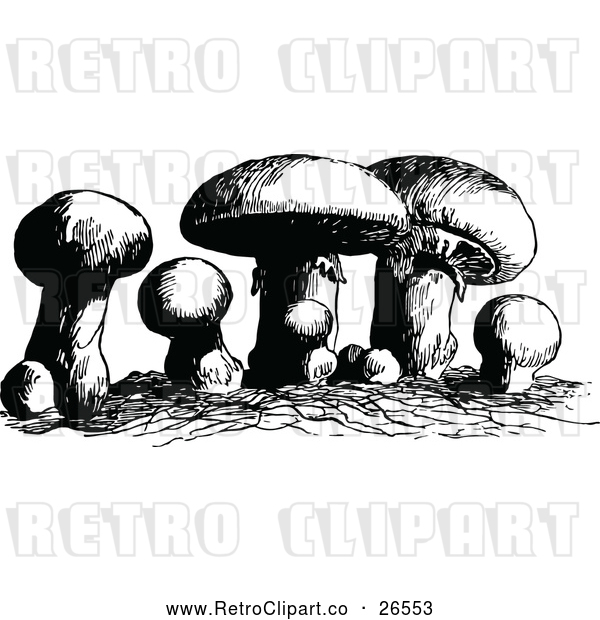 Vector Clip Art of Retro Mushrooms