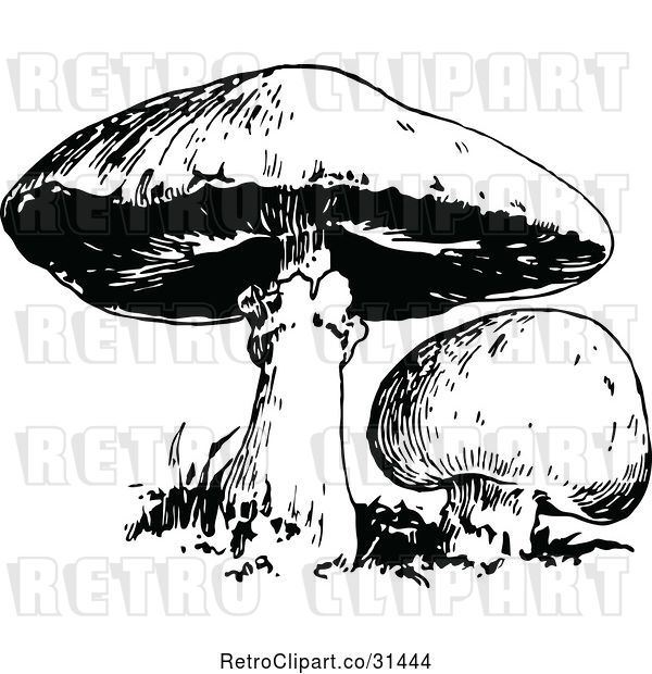 Vector Clip Art of Retro Mushrooms