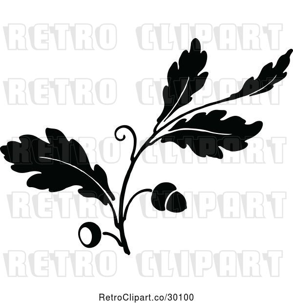 Vector Clip Art of Retro Oak Branch with Acorns 1