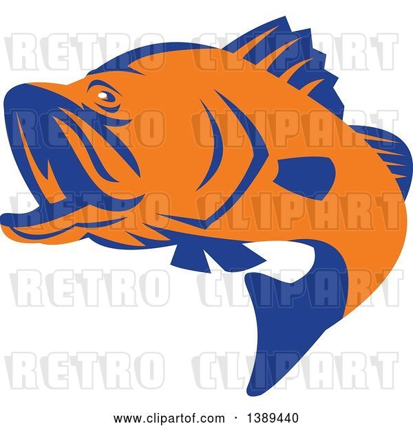 Vector Clip Art of Retro Orange and Blue Barramundi Asian Sea Bass Fish Jumping