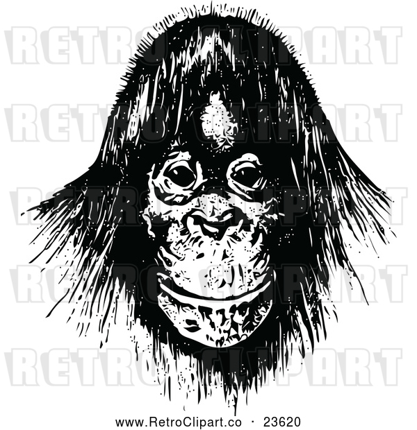 Vector Clip Art of Retro Orangutan