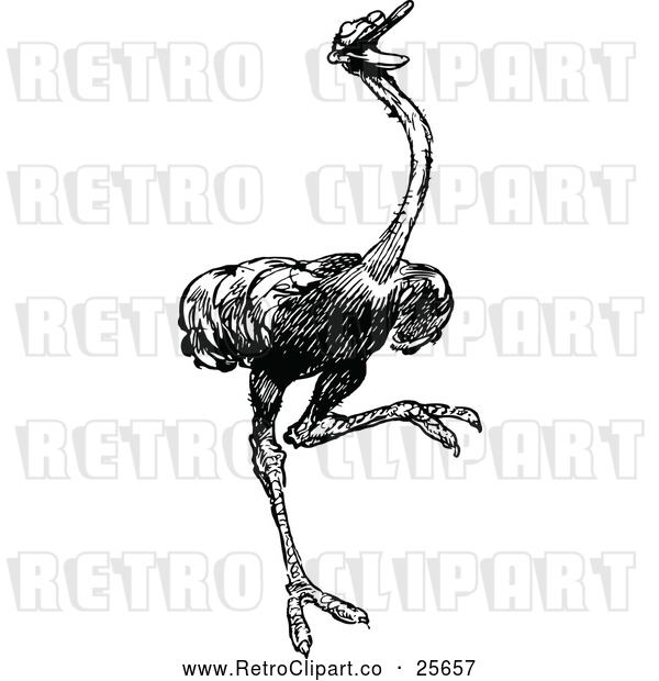 Vector Clip Art of Retro Ostrich