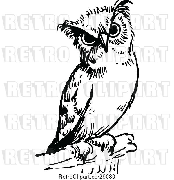 Vector Clip Art of Retro Owl