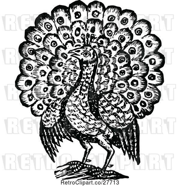 Vector Clip Art of Retro Peacock Bird 2