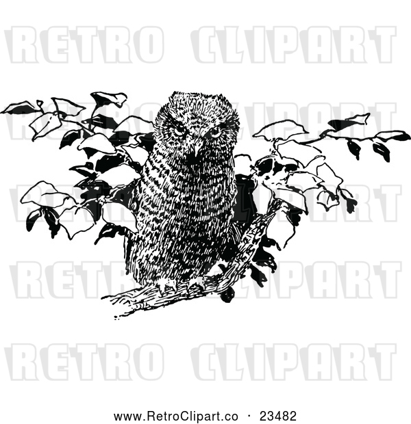 Vector Clip Art of Retro Perched Owl 1