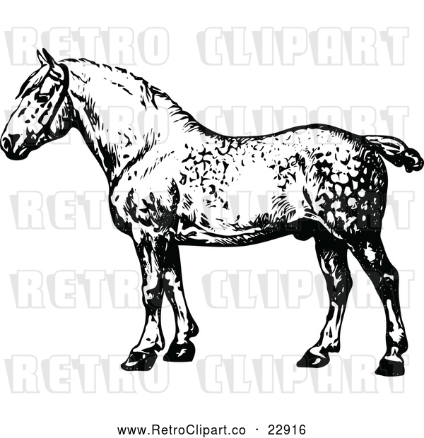 Vector Clip Art of Retro Percheron Horse