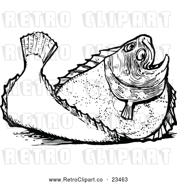 Vector Clip Art of Retro Plaice Flatfish