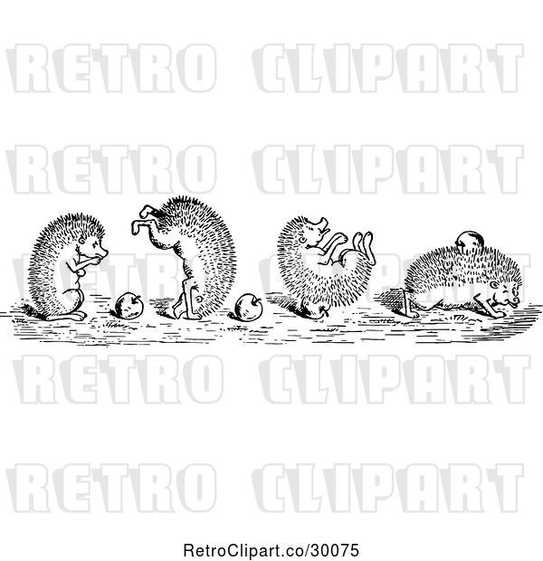 Vector Clip Art of Retro Playful Hedgehogs