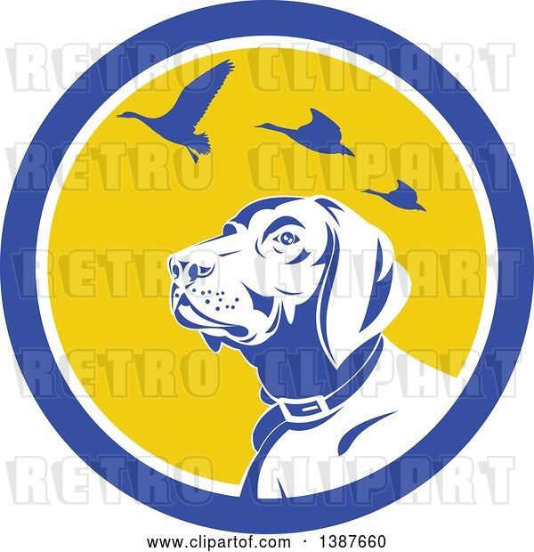 Vector Clip Art of Retro Pointer Hunting Dog Looking up at Flying Geese in a Blue White and Yellow Circle