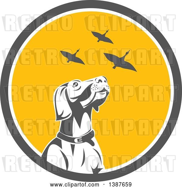 Vector Clip Art of Retro Pointer Hunting Dog Looking up at Flying Geese in a Gray White and Yellow Circle
