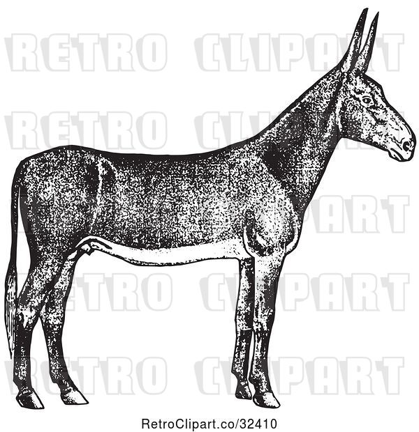 Vector Clip Art of Retro Poitou Donkey Ass in