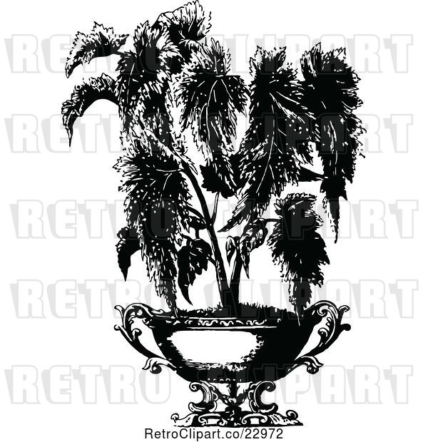 Vector Clip Art of Retro Potted Begonia Plant