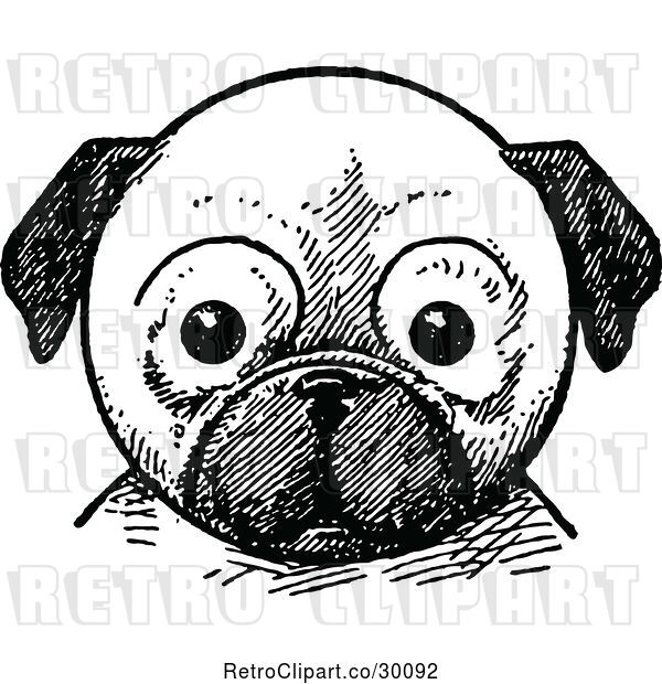 Vector Clip Art of Retro Pug Dog Face
