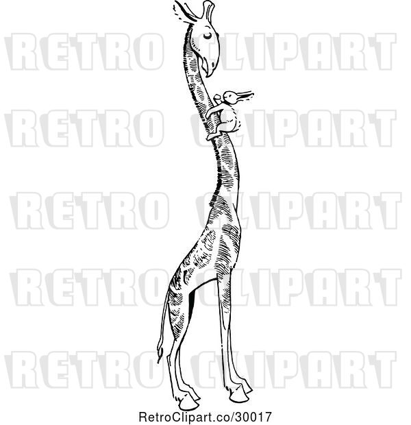 Vector Clip Art of Retro Rabbit on a Giraffes Neck